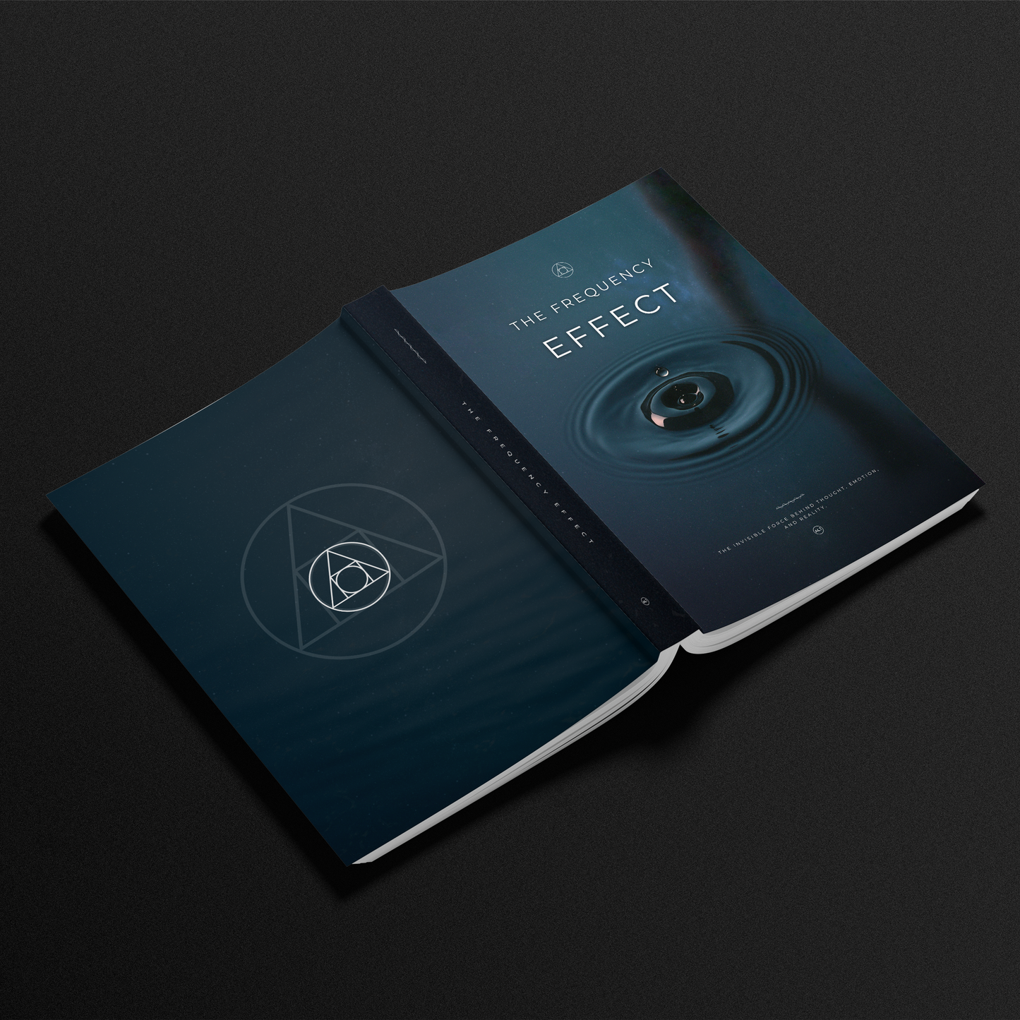 The Frequency Effect