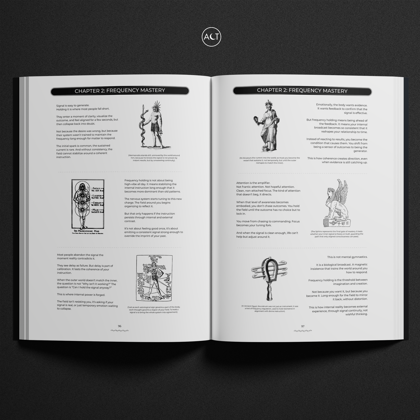 The Frequency Effect