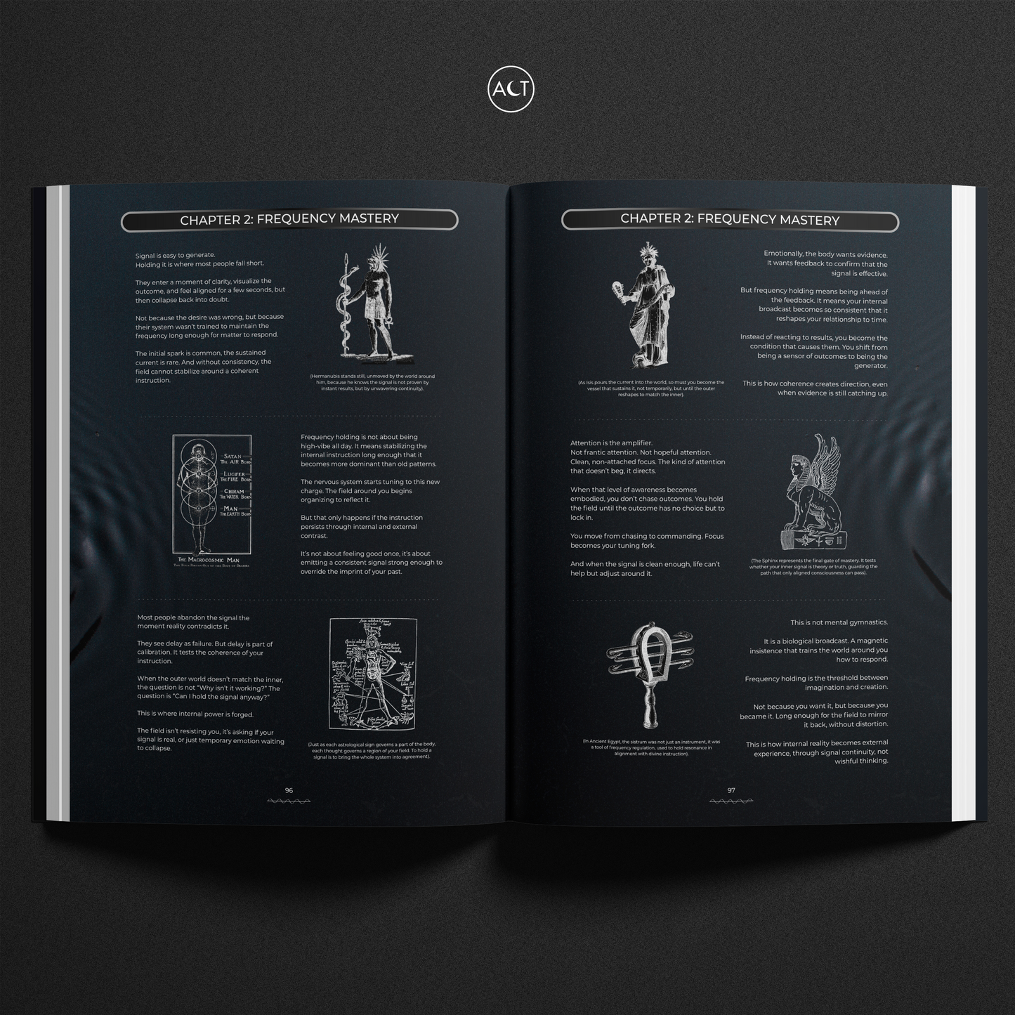 The Frequency Effect (Cinematic)