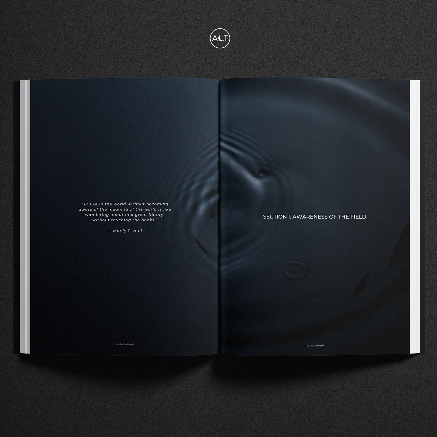 The Frequency Effect (Cinematic)