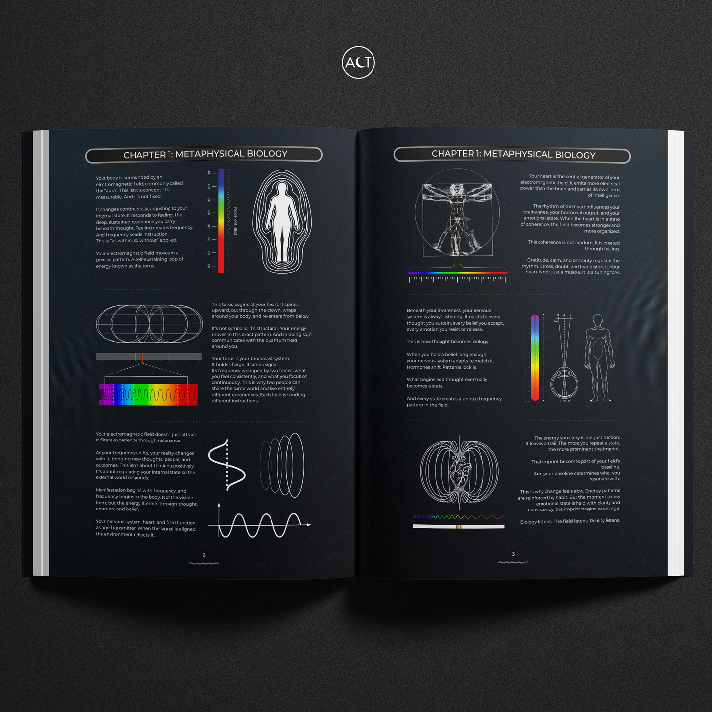 The Frequency Effect (Cinematic)