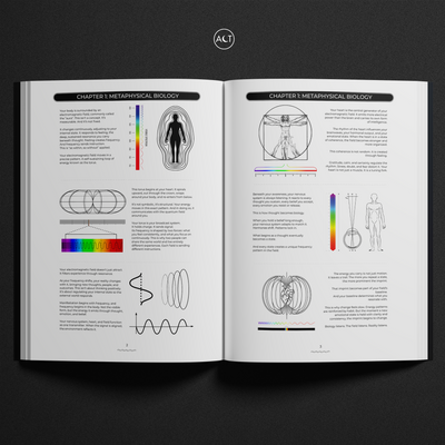The Frequency Effect