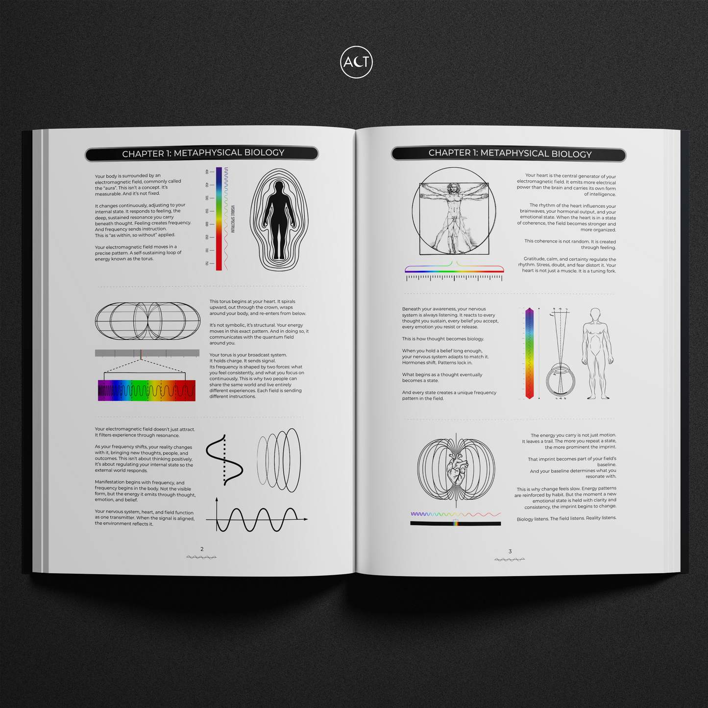 The Frequency Effect